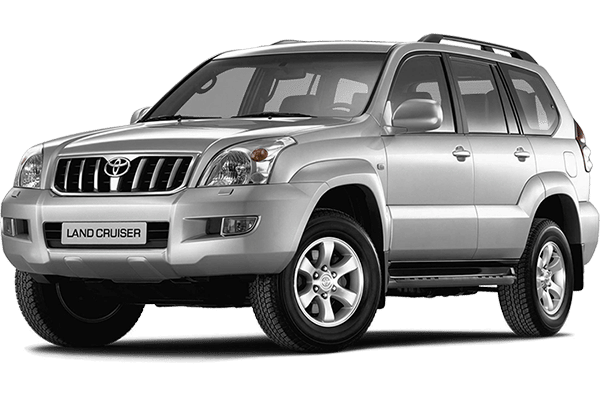 Toyota prado deals window shades